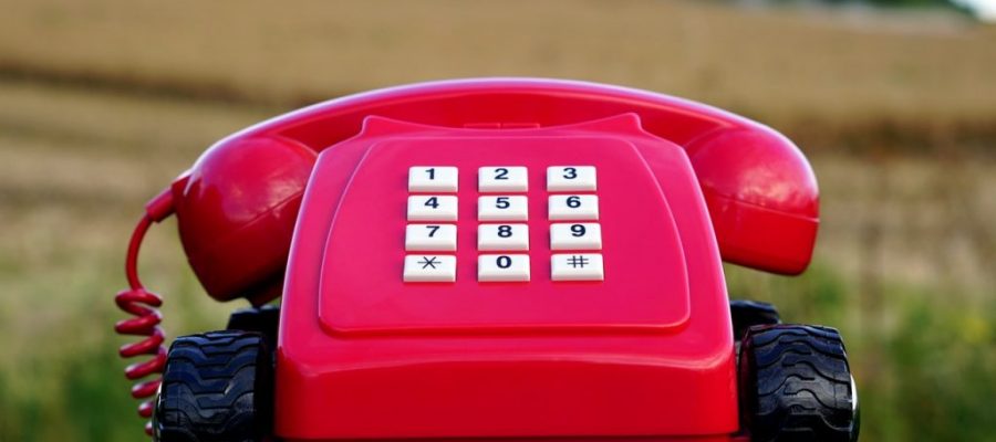 Should Your Startup Get a Vanity Phone Number