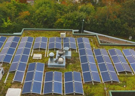 Green Roofs: Startup Opportunities in Urban Agriculture