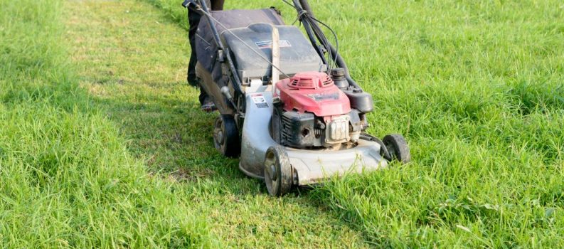 A Guide to Starting Up Your Own Lawn Care Service