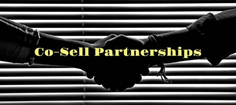 Everything You Need To Know To Drive Co-Sell Partnerships