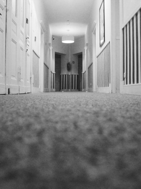 How To Start a Dry Carpet Cleaning Service
