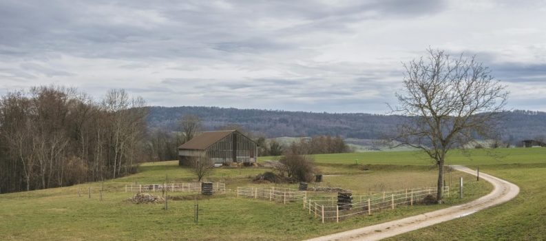 Starting a Farm Business in Pennsylvania