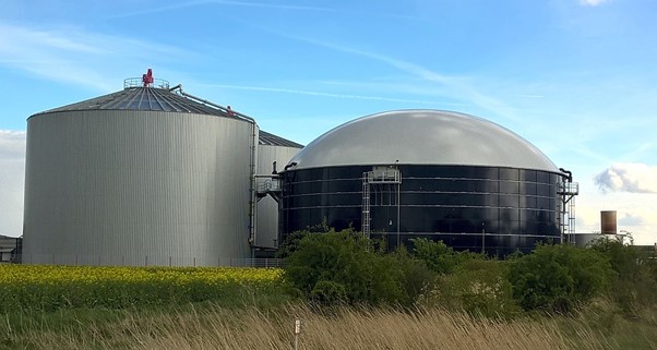 Entrepreneurial Opportunities in Biogas: Fuelling Sustainable Ventures