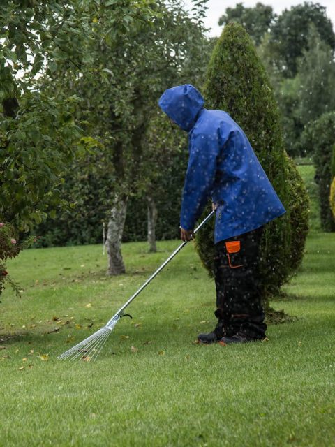 business property garden maintenance