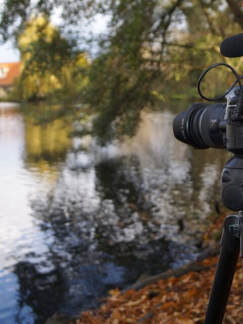 short-form video marketing
